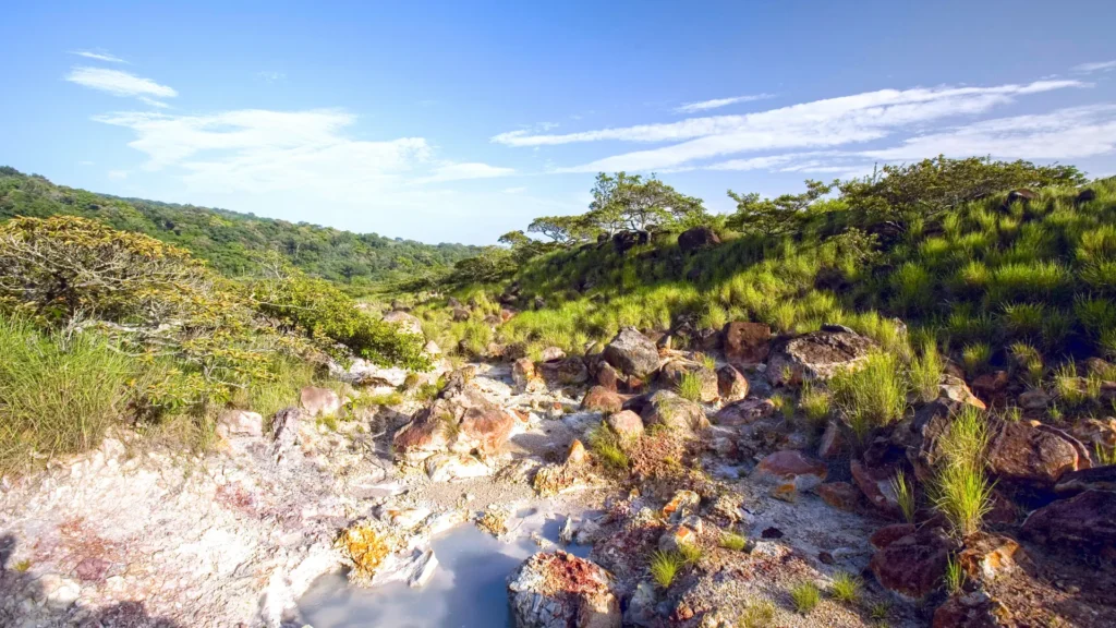 Tropical coastal landscape and native vegetation in Guanacaste Province